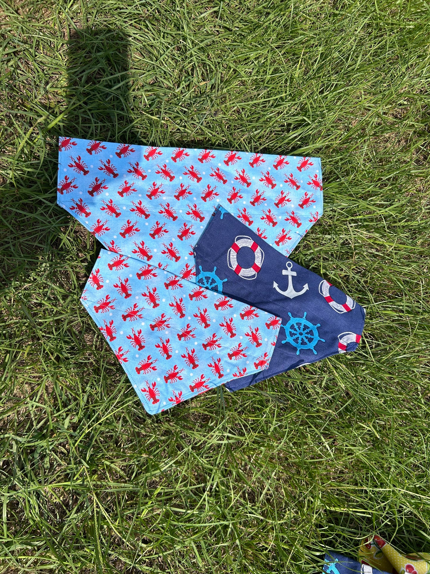 Fetch the anchor slide-on