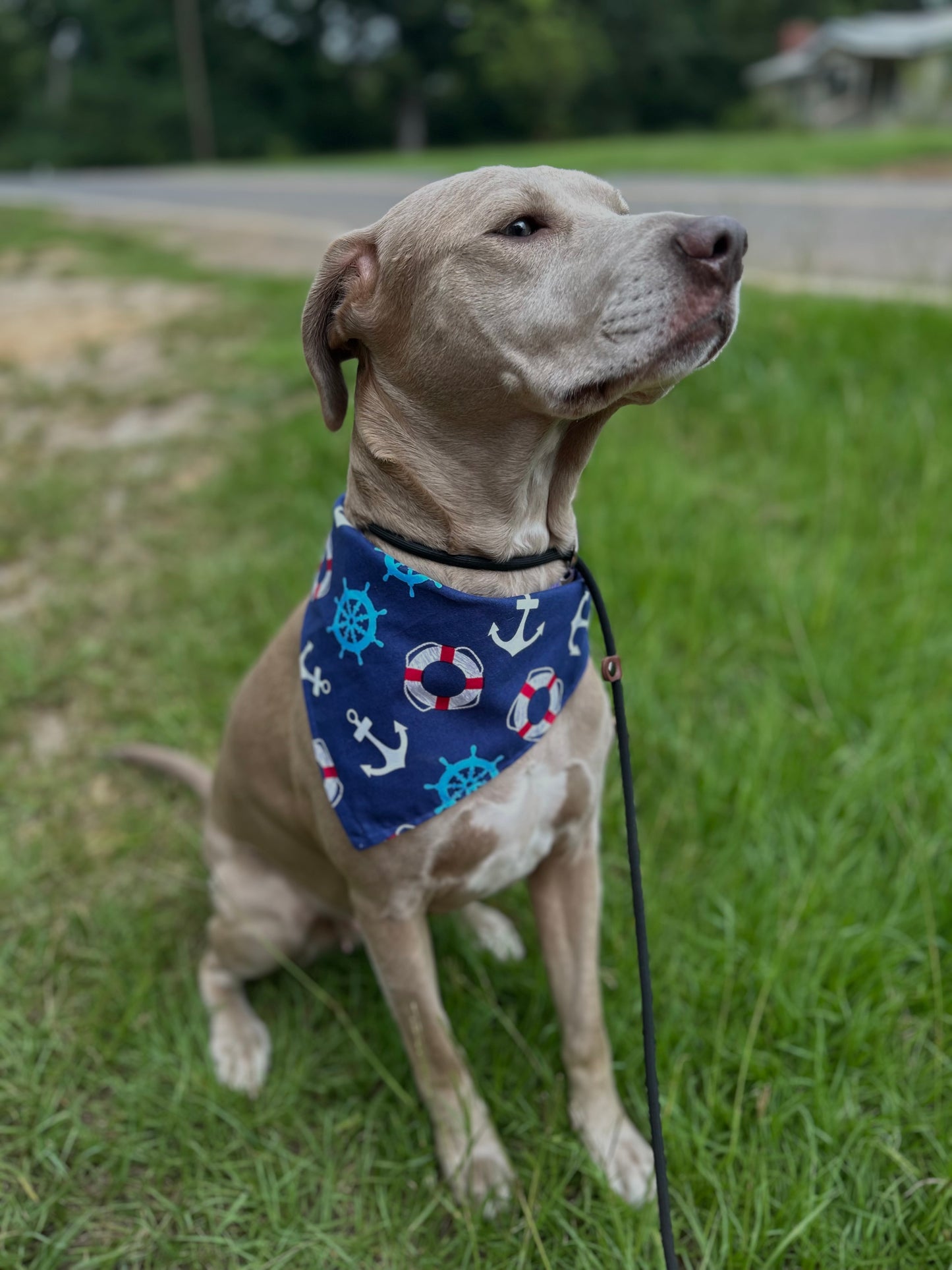 Anchors’s away snap-on