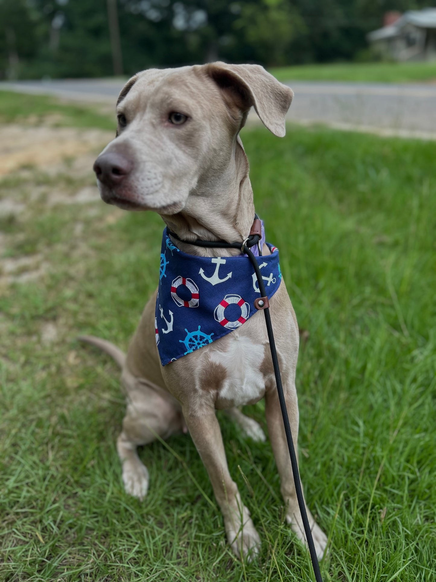 Fetch the anchor slide-on