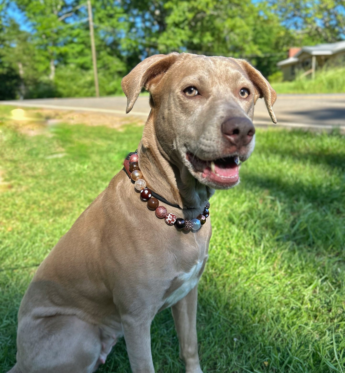 Southern charm