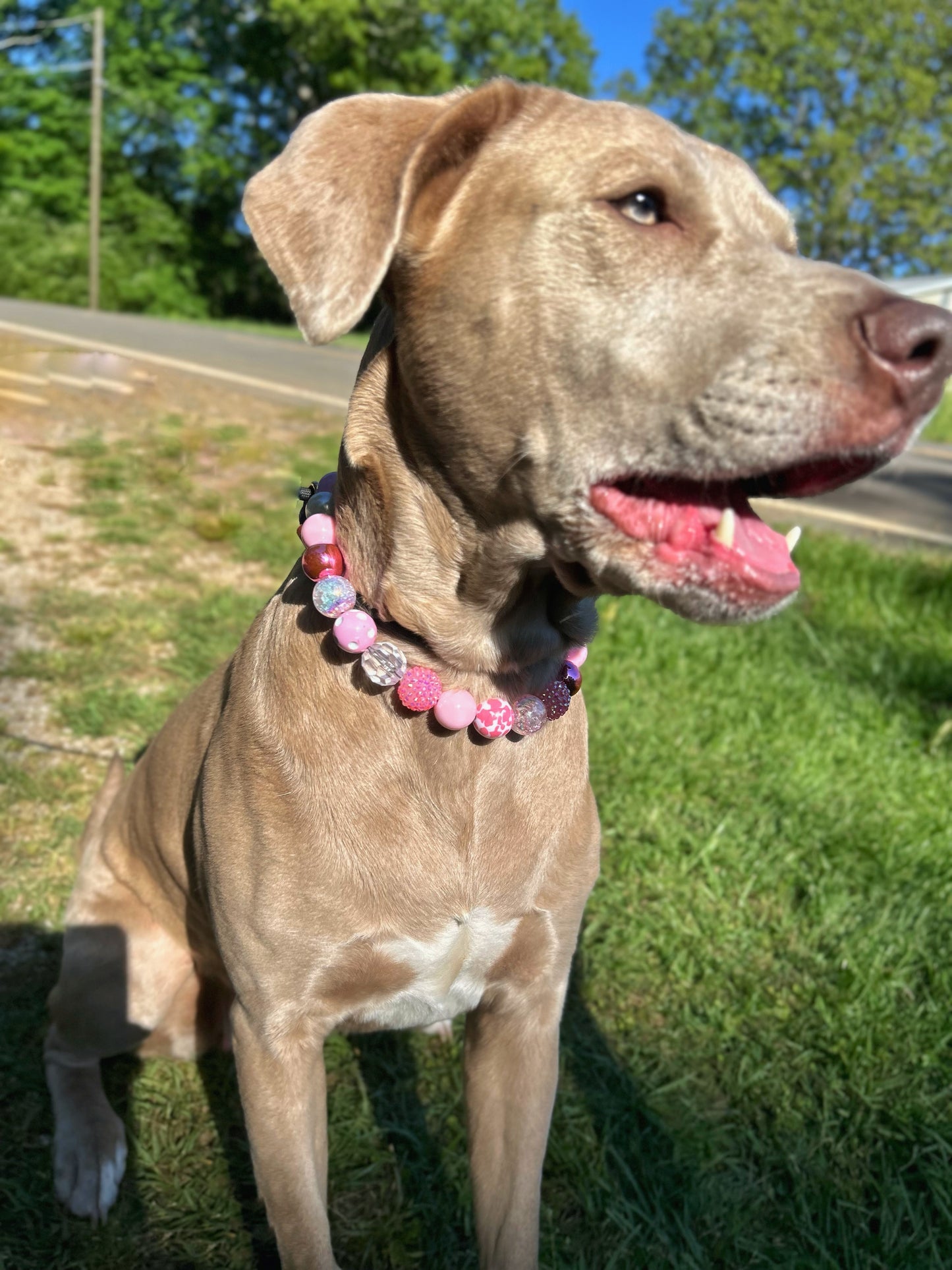 Southern charm