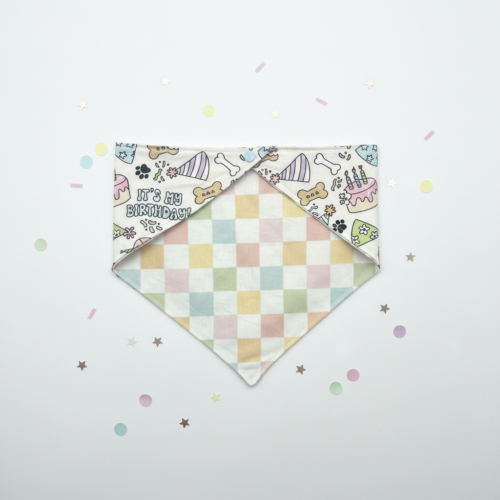 Cake & Confetti - White Background Product Photo