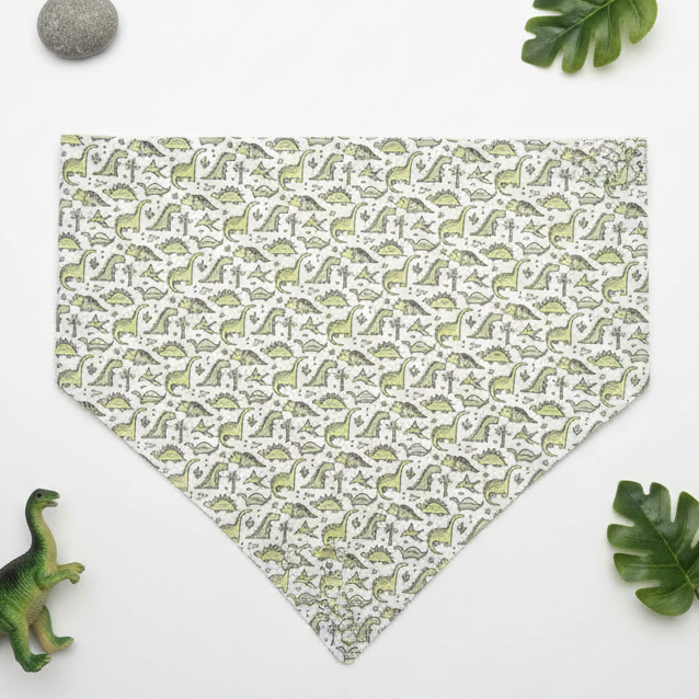 Dino Print Side - Boutique Flat Lay