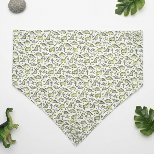 Dino Print Side - Boutique Flat Lay